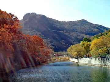 管家婆黑白马报图库，水泥销售商